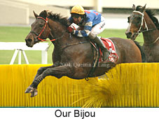 Our Bijou (15309 bytes)