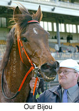 Our Bijou (15334 bytes)