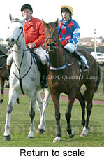 Return to scale (15199 bytes)