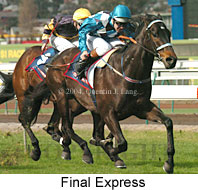 Final Express (18345 bytes)