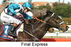 Final Express (17176 bytes)