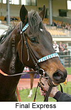 Final Express (14056 bytes)