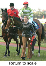 Return to scale (15524 bytes)