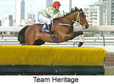 Team Heritage (15691 bytes)
