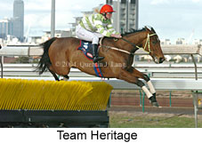 Team Heritage (14169 bytes)