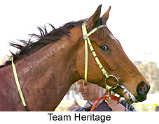 Team Heritage (13244 bytes)