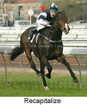 Recapitalize (15364 bytes)