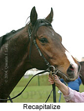 Recapitalize (11347 bytes)