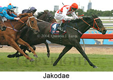 Jakodae (15364 bytes)