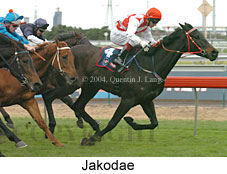 Jakodae (15364 bytes)