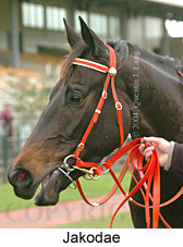 Jakodae (15364 bytes)