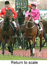 Return to scale (18739 bytes)