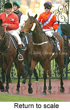 Return to scale (18739 bytes)