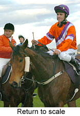 Return to scale (12064 bytes)