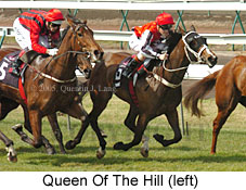 Queen Of The Hill (19327 bytes)