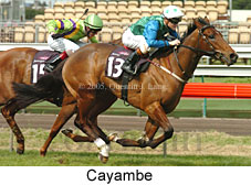 Cayambe (19327 bytes)