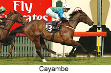 Cayambe (19327 bytes)