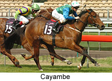 Cayambe (19327 bytes)