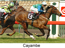 Cayambe (19327 bytes)