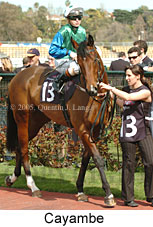 Cayambe (19327 bytes)