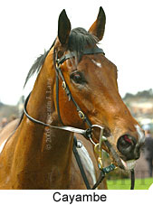 Cayambe (19327 bytes)