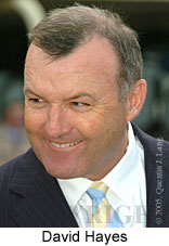 David Hayes (18259 bytes)