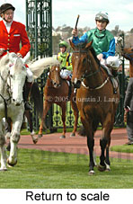 Return to scale (16096 bytes)