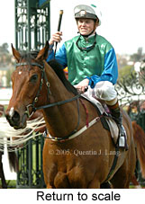 Return to scale (16096 bytes)