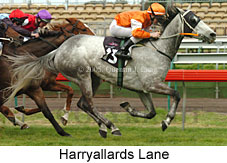 Harryallards Lane (19327 bytes)