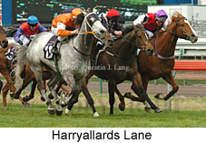 Harryallards Lane (19327 bytes)