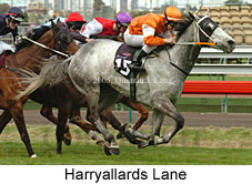 Harryallards Lane (19327 bytes)