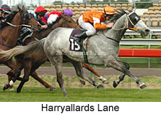 Harryallards Lane (19327 bytes)