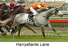 Harryallards Lane (19327 bytes)
