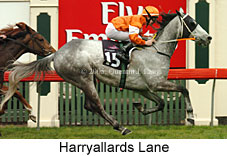 Harryallards Lane (19327 bytes)