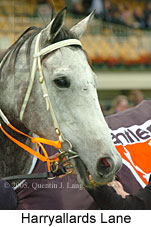 Harryallards Lane (19327 bytes)