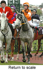 Return to scale (16096 bytes)