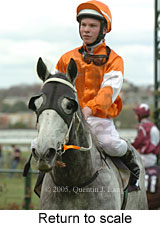 Return to scale (16096 bytes)