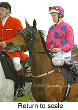 Return to scale (16096 bytes)