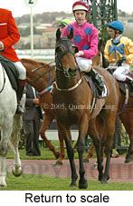 Return to scale (16096 bytes)