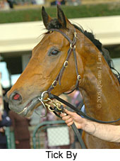 Tick By (19327 bytes)