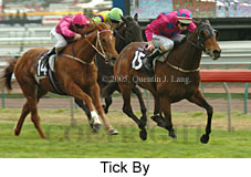 Tick By (19327 bytes)