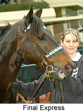 Final Express (19327 bytes)