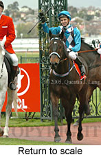 Return to scale (16096 bytes)