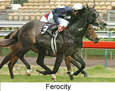 Ferocity (19327 bytes)