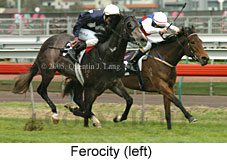 Ferocity (19327 bytes)