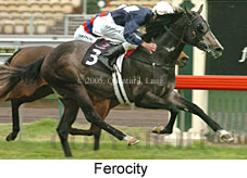 Ferocity (19327 bytes)