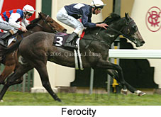 Ferocity (19327 bytes)