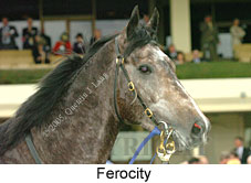 Ferocity (19327 bytes)