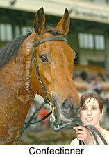 Confectioner (19327 bytes)