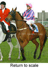 Return to scale (16096 bytes)